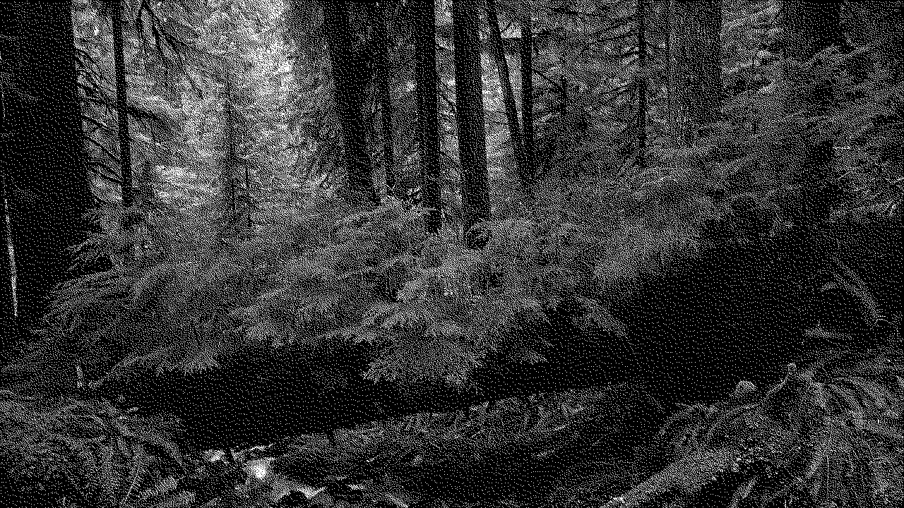 A bitmap image of a forest